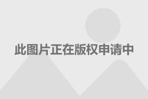 马伊琍最新电视剧作品，展现变化的力量与自信成长的旋律