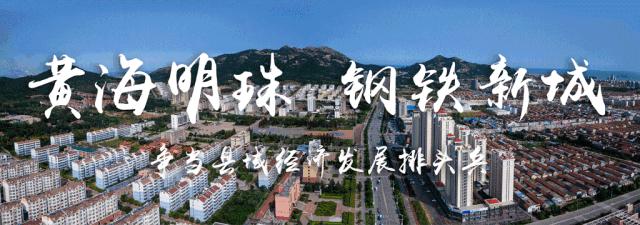 中石化最新动态，入门指南与技能进阶学习资讯